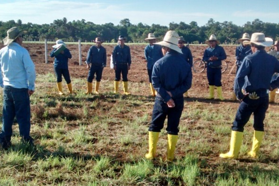 logo centro asturiano